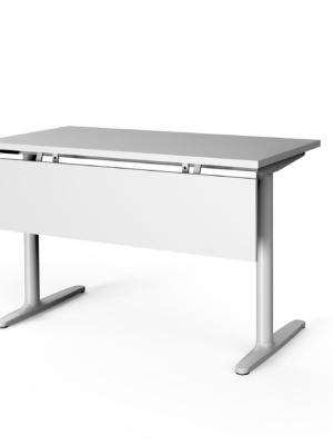 Mesa Talent 100
